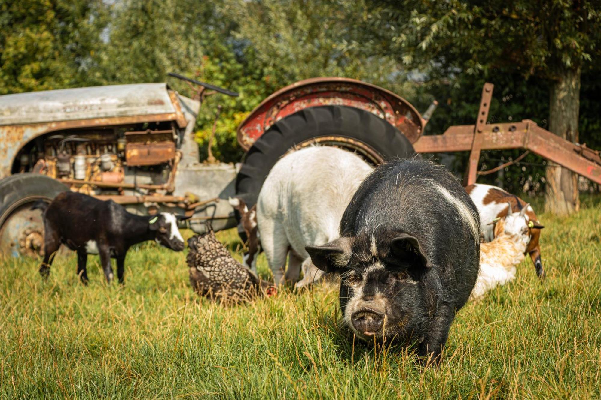 Landgoed Versteegh Nabij Heerlijkheid Marienwaerdt Beesd Esterno foto